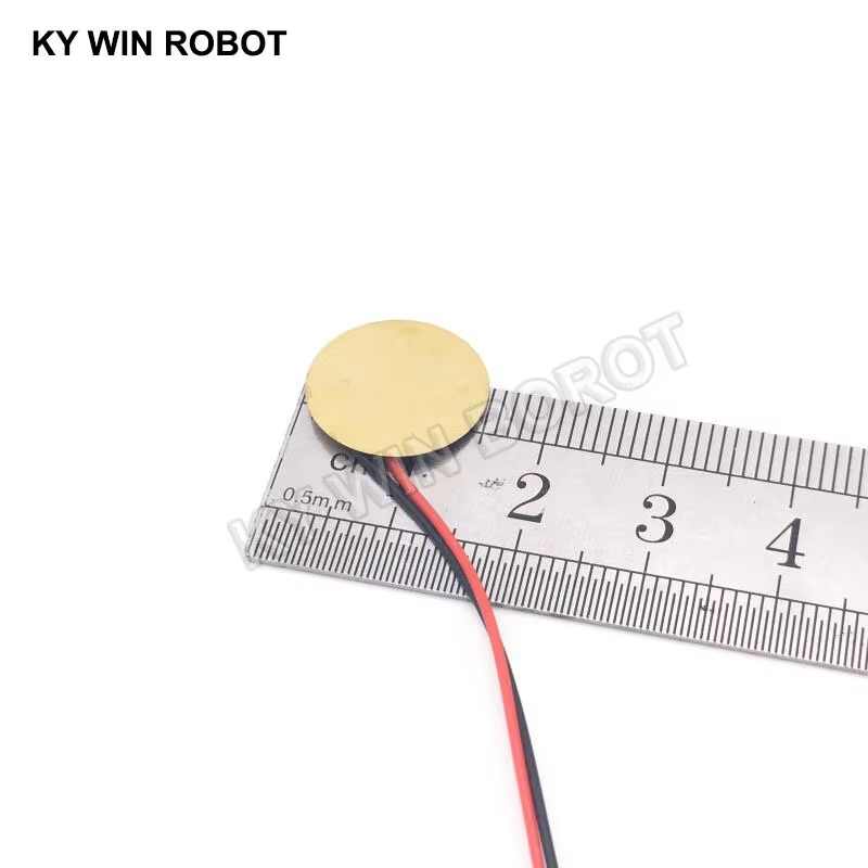 10 Pcs 압전 피에조 세라믹 웨이퍼 플레이트 직경  - R/Diy Electronics 리뷰 및 가격
